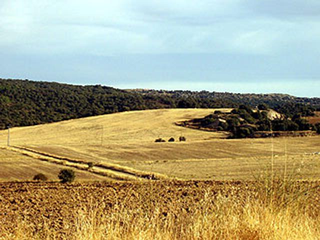 MONSALUPE