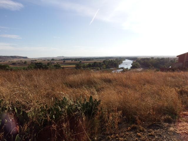 FRESNO DE LA RIBERA